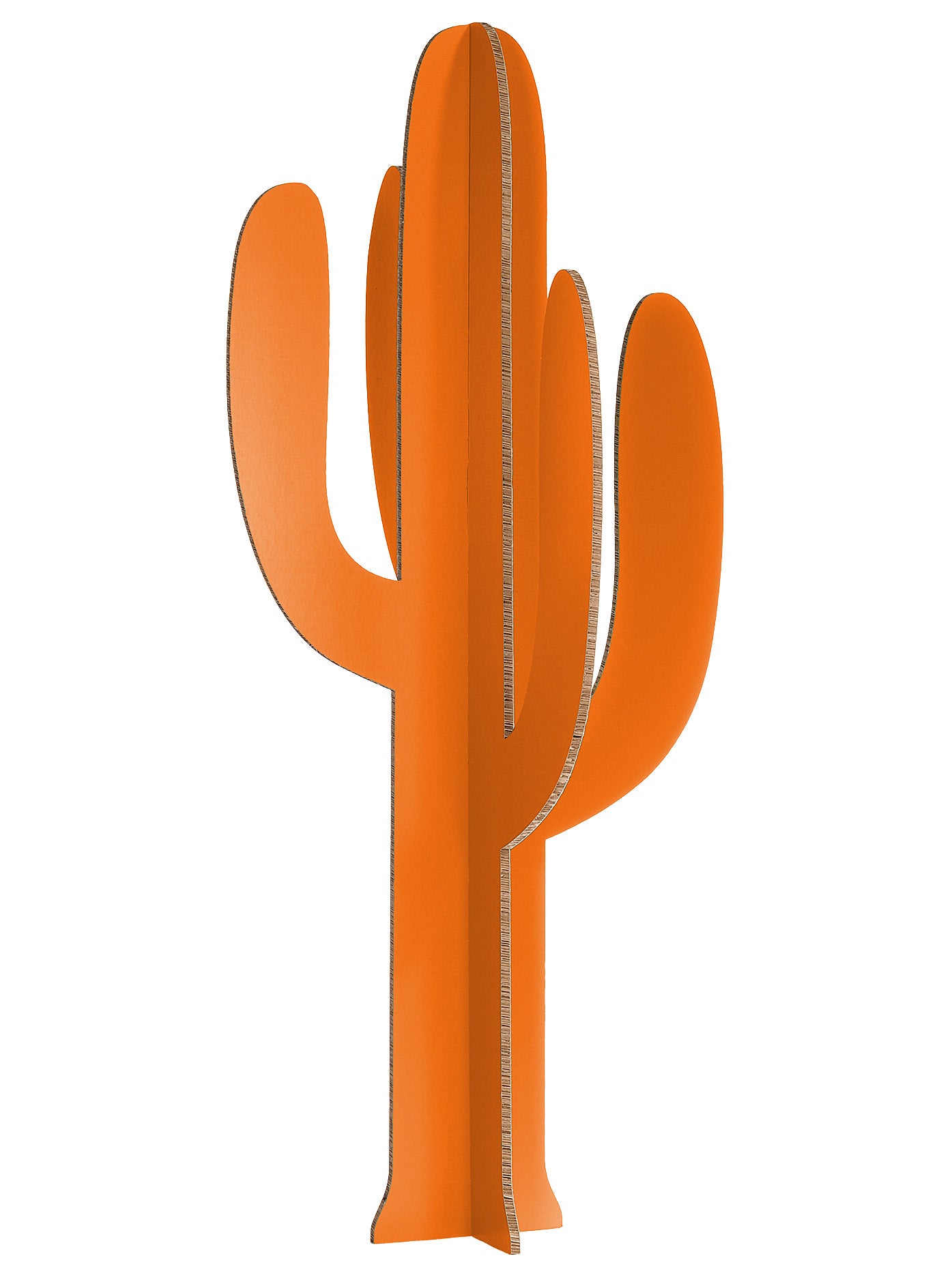 Cartus Orange Taille S