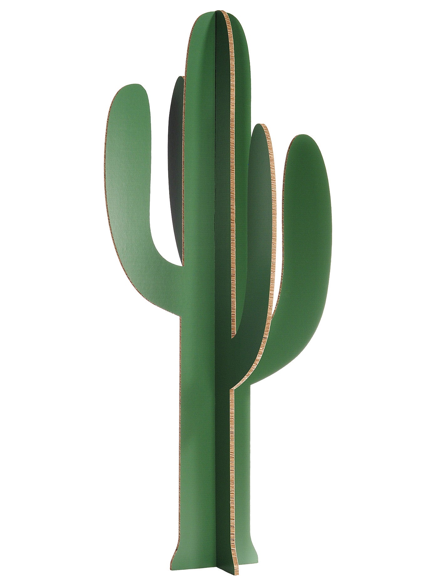 Cartus Vert Foncé Taille XL