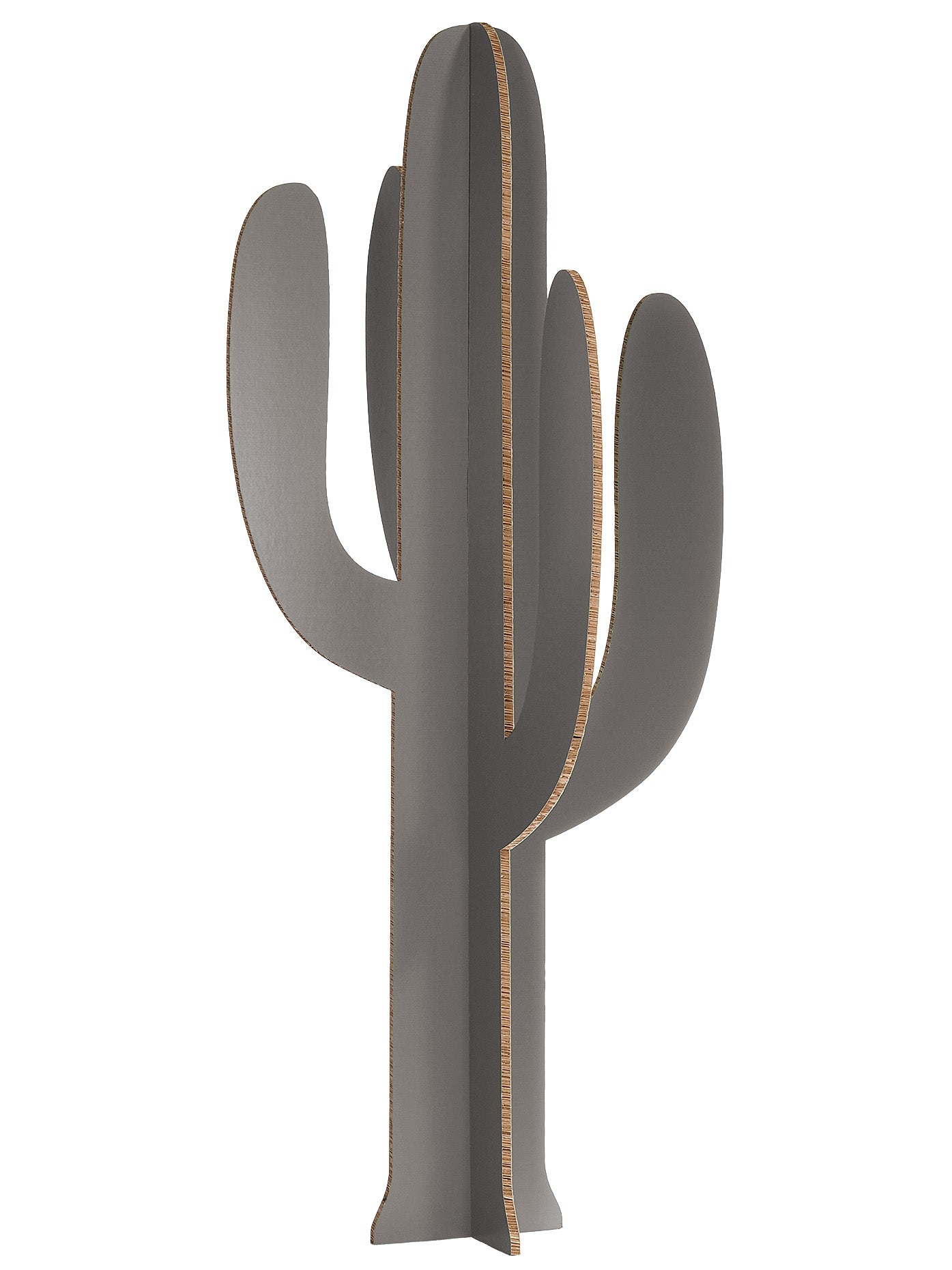 Cartus Gris Taille S