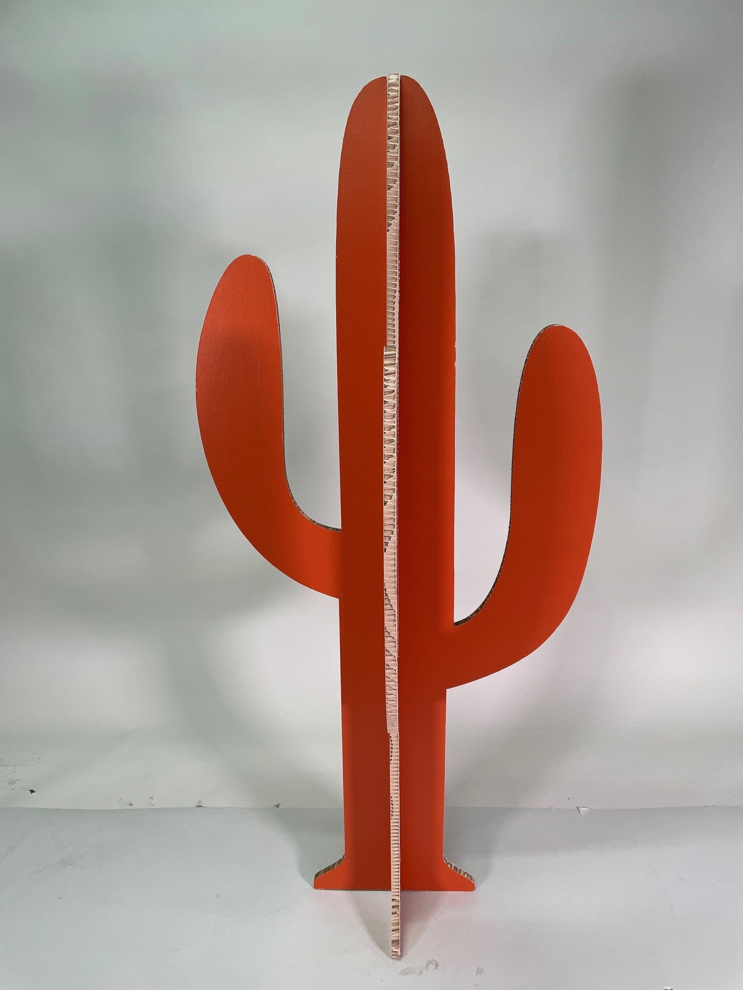 Cartus Orange Taille M