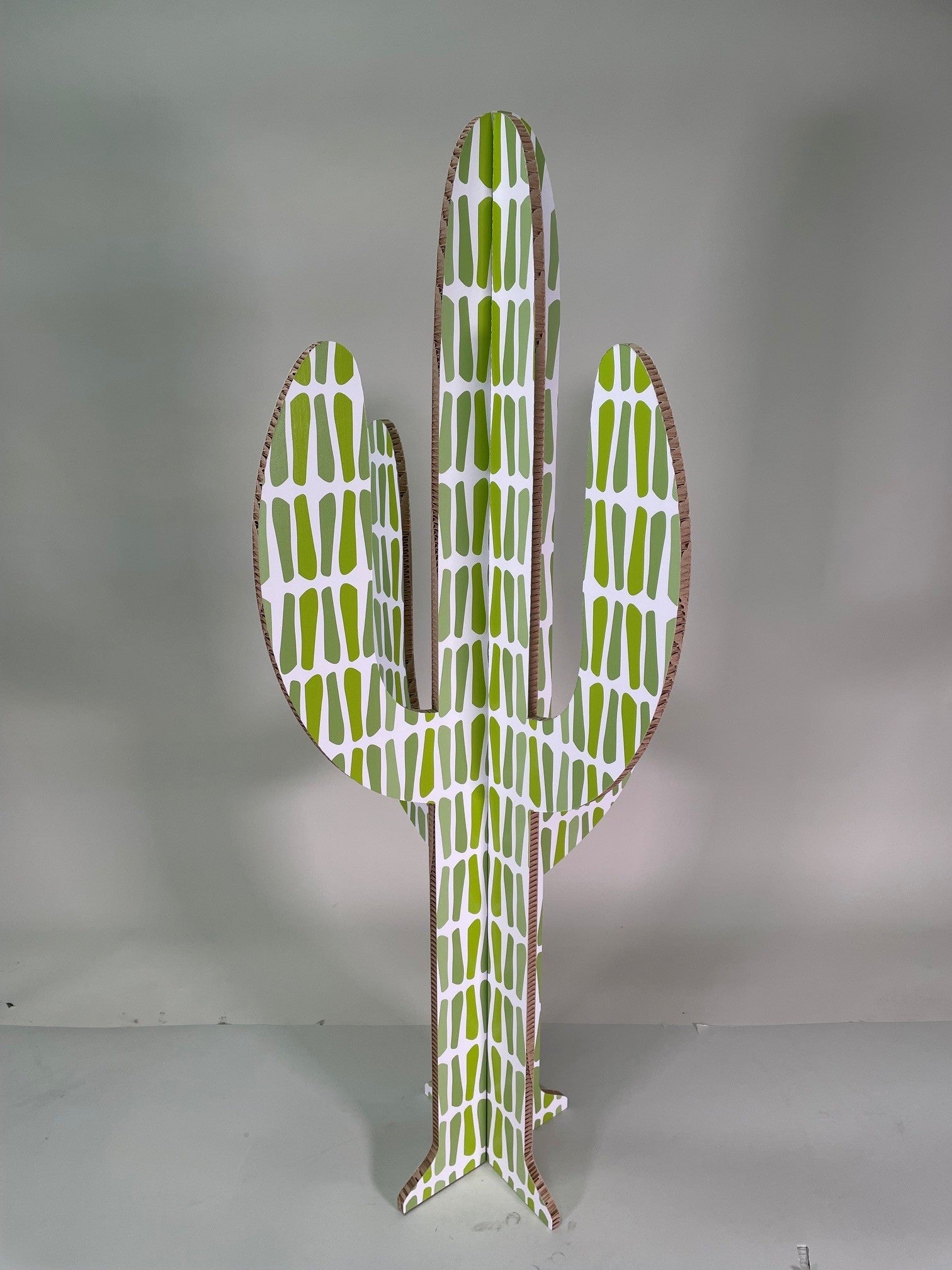 Cartus Pois Vert Taille M