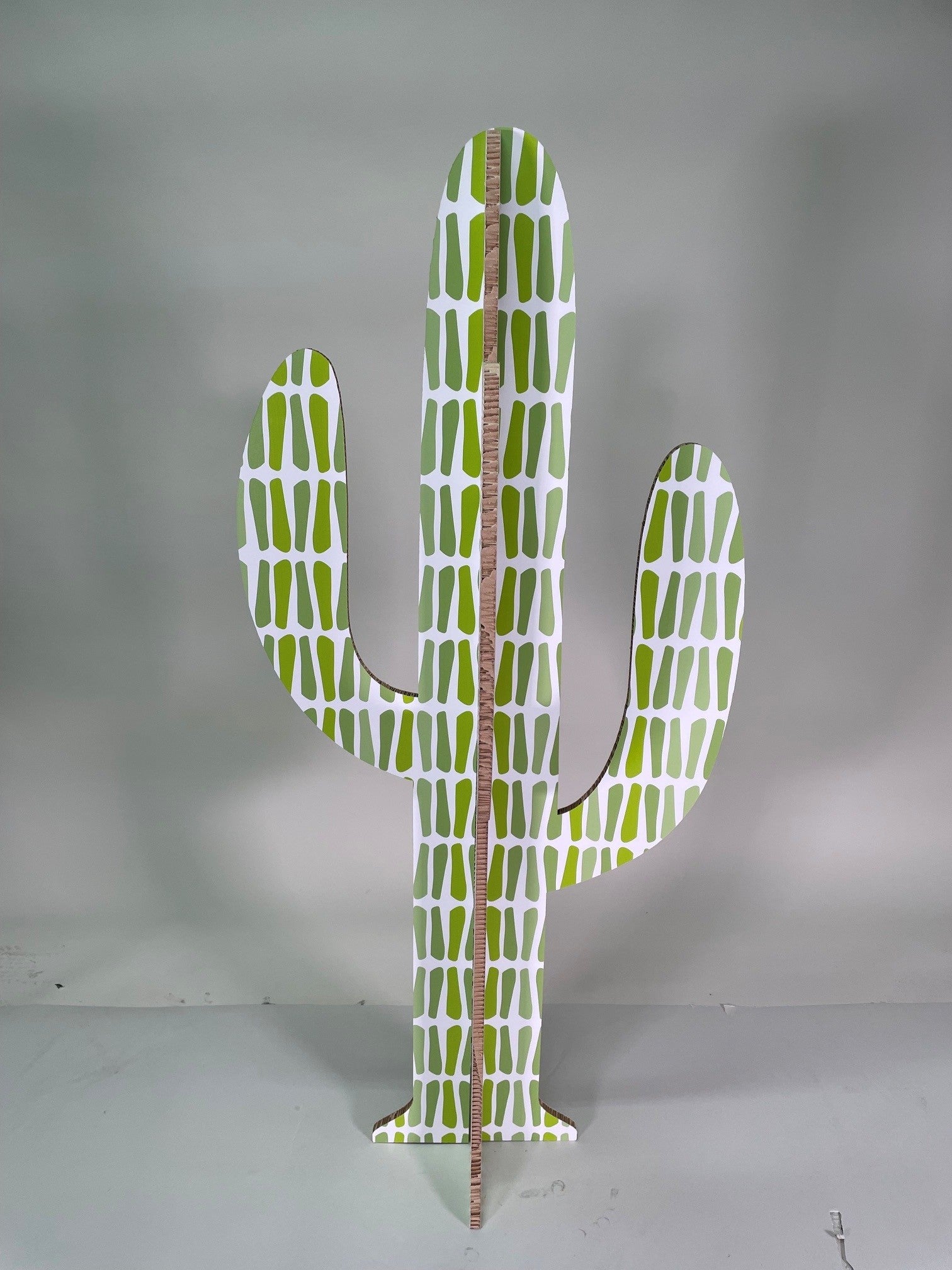 Cartus Pois Vert Taille M