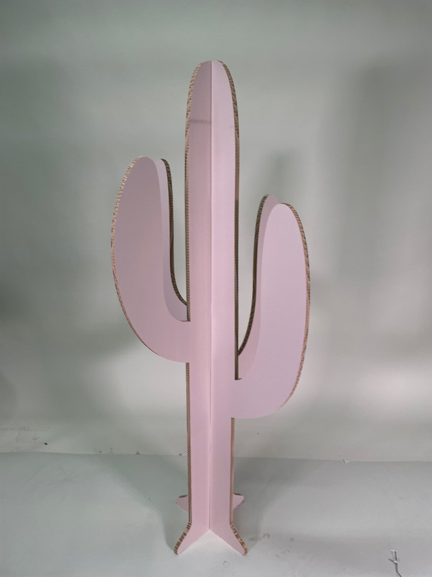 Cartus Rose Taille M