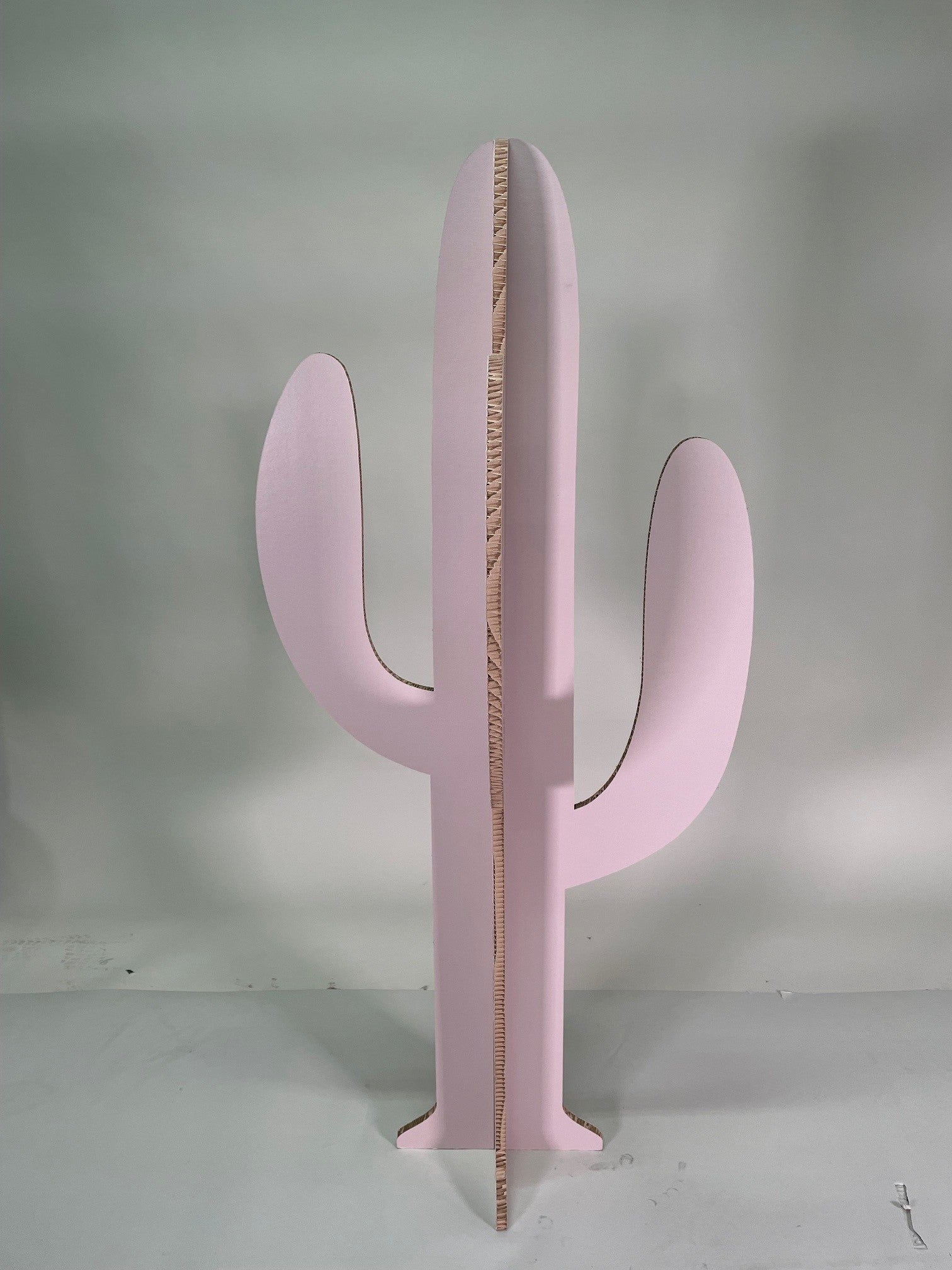 Cartus Rose Taille M