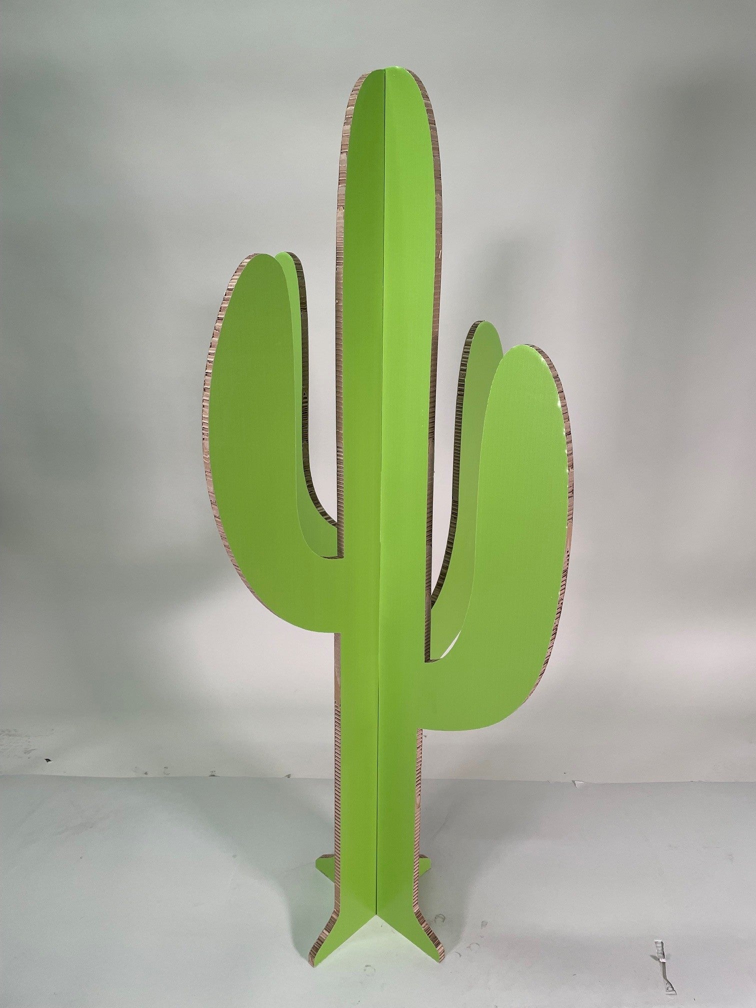 Cartus Vert Taille M