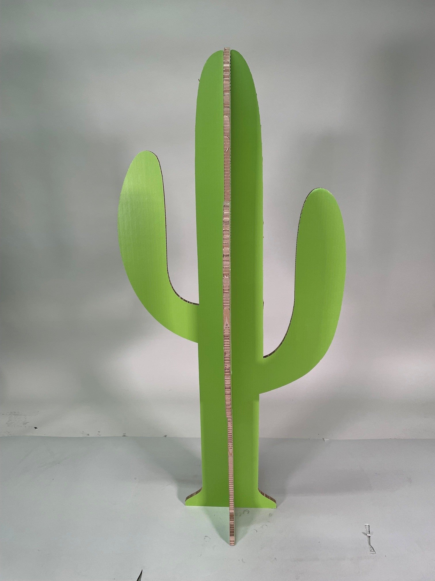 Cartus Vert Taille M