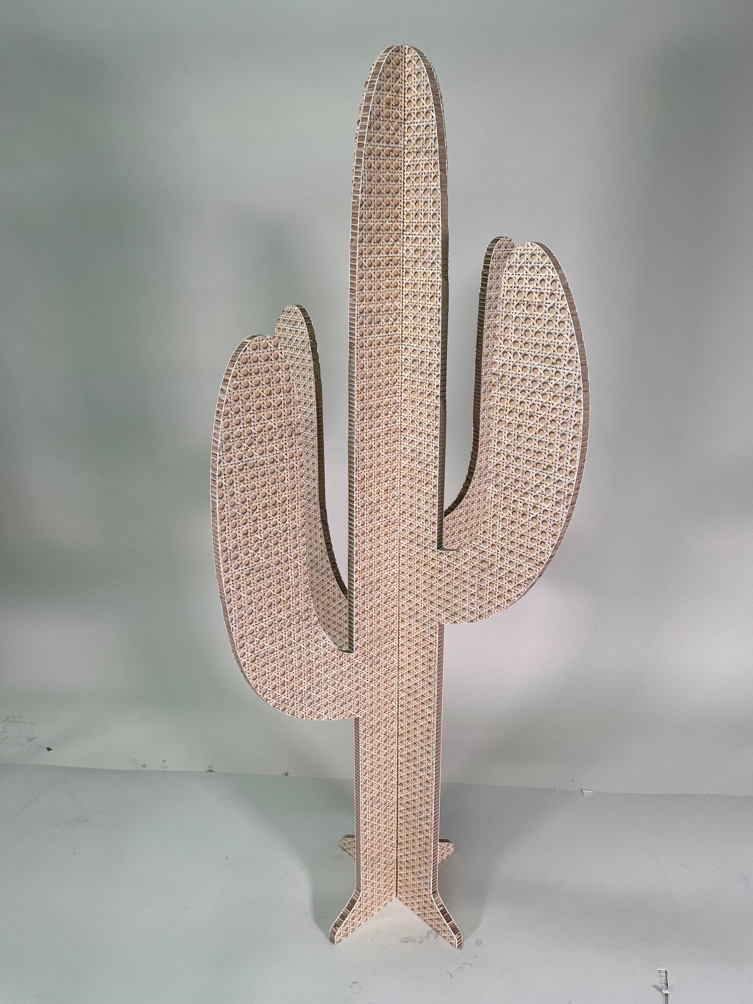 Cartus Canis Taille M