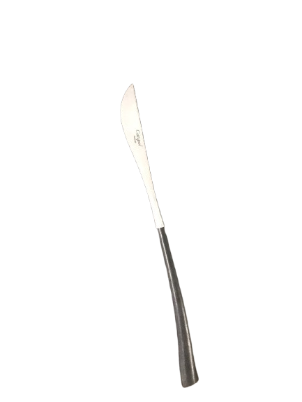 10 Couteaux Dessert Karbone