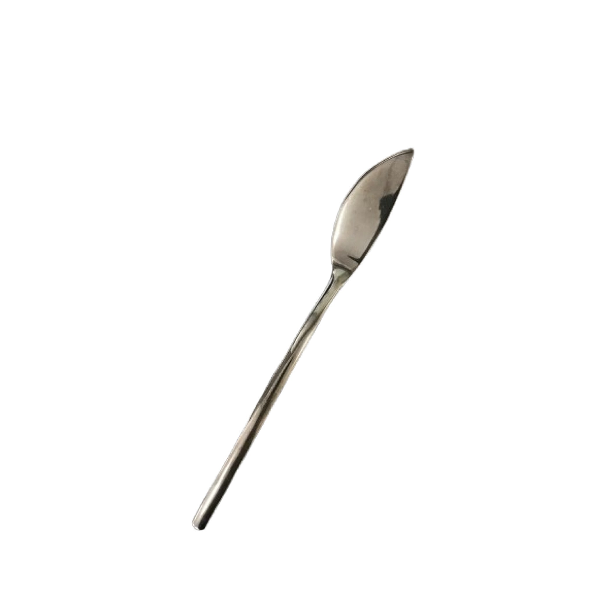 10 Couteaux Poisson Titane