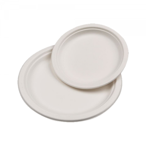 Assiettes Pulpe de Canne